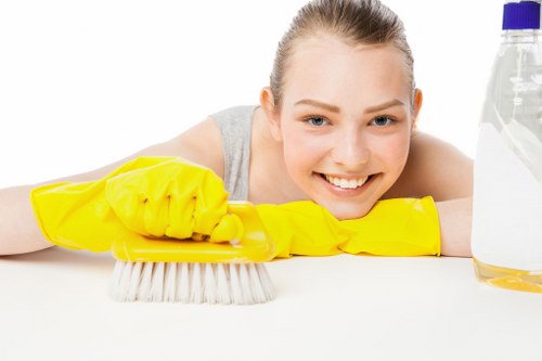 Seasonal cleaning support from Richmond cleaners in a bright living room