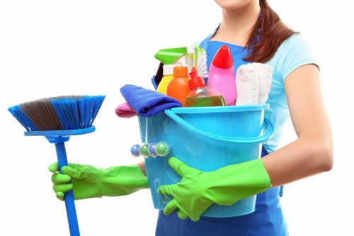 Eco-friendly cleaner in Richmond using safe products