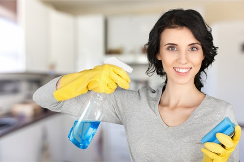 Eco-friendly oven cleaning in Richmond for homes and businesses