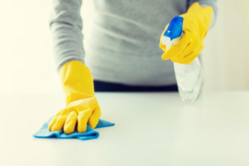 Upholstery cleaning in Richmond removing stains from a sofa