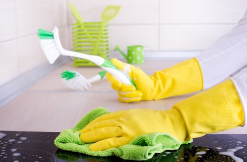 Dusting and floor care in a Richmond property