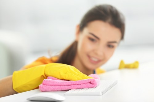 Window cleaning and exterior surfaces graphic