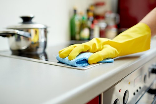 Requesting accessibility assistance for Richmond Cleaners website issues