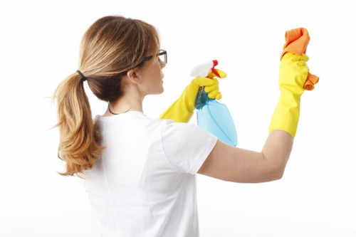 Deep cleaning a fabric sofa in Richmond