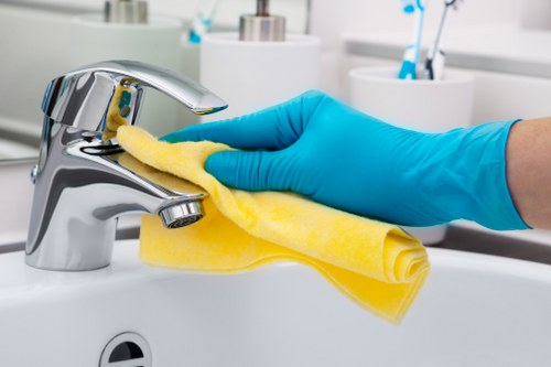Local oven cleaner Richmond service restoring oven performance
