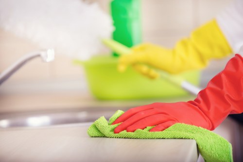 Eco-friendly home cleaning products used in a Richmond house